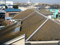 屋根Before